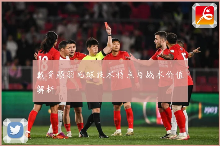 戴资颖羽毛球技术特点与战术价值解析