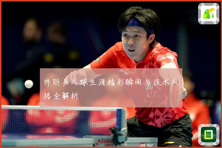 许昕乒乓球生涯精彩瞬间与技术风格全解析