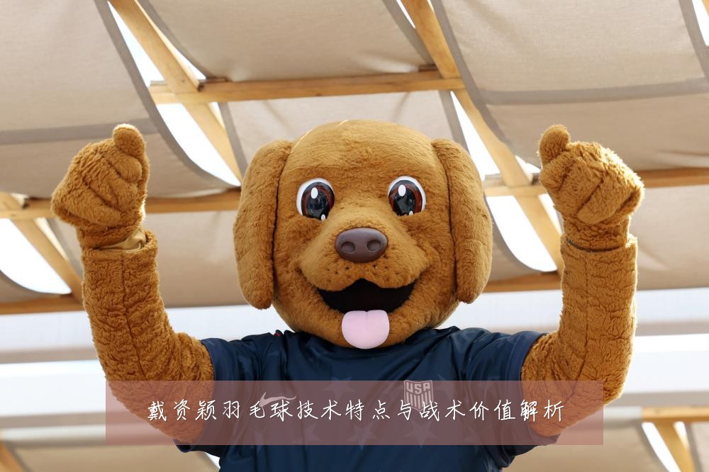 戴资颖羽毛球技术特点与战术价值解析